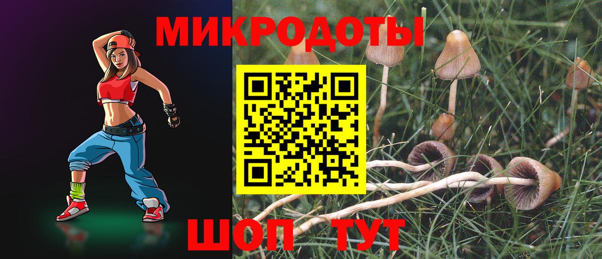 Псилоцибиновые грибы Psilocybe Тулун