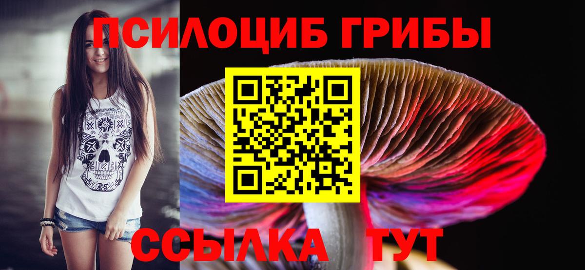 Галлюциногенные грибы мицелий  Вход с VPN  Тулун  Псилоцибиновые грибы Cubensis 